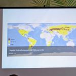 58ea8b87-c922-4d7d-8985-a8b788620efe